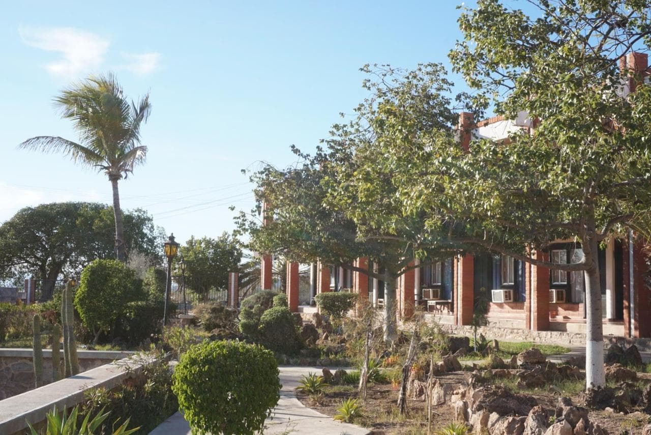 Columpios para niños